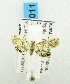  (Argyractis tetropalis - USNM ENT 00195723)  @12 [ ] Unspecified (default): All Rights Reserved  Unspecified Unspecified