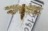  ( - USNM ENT 00666535)  @13 [ ] Unspecified (default): All Rights Reserved  Unspecified Unspecified