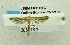 ( - USNM ENT 00667679)  @12 [ ] Unspecified (default): All Rights Reserved  Unspecified Unspecified