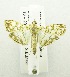  ( - USNM ENT 00676255)  @13 [ ] Unspecified (default): All Rights Reserved  Unspecified Unspecified