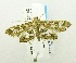  ( - USNM ENT 00676260)  @12 [ ] Unspecified (default): All Rights Reserved  Unspecified Unspecified