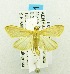  ( - USNM ENT 00676279)  @12 [ ] Unspecified (default): All Rights Reserved  Unspecified Unspecified