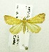  ( - USNM ENT 00676281)  @12 [ ] Unspecified (default): All Rights Reserved  Unspecified Unspecified