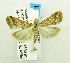 ( - USNM ENT 00676292)  @14 [ ] Unspecified (default): All Rights Reserved  Unspecified Unspecified