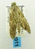  ( - USNM ENT 00676293)  @12 [ ] Unspecified (default): All Rights Reserved  Unspecified Unspecified