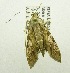  ( - USNM ENT 00676294)  @12 [ ] Unspecified (default): All Rights Reserved  Unspecified Unspecified
