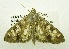  ( - USNM ENT 00676297)  @13 [ ] Unspecified (default): All Rights Reserved  Unspecified Unspecified