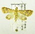  ( - USNM ENT 00676303)  @14 [ ] Unspecified (default): All Rights Reserved  Unspecified Unspecified