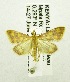  ( - USNM ENT 00676304)  @14 [ ] Unspecified (default): All Rights Reserved  Unspecified Unspecified