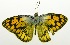  ( - USNM ENT 00676387)  @14 [ ] Unspecified (default): All Rights Reserved  Unspecified Unspecified