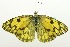  ( - USNM ENT 00676389)  @14 [ ] Unspecified (default): All Rights Reserved  Unspecified Unspecified