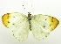  ( - USNM ENT 00676390)  @14 [ ] Unspecified (default): All Rights Reserved  Unspecified Unspecified