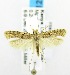  ( - USNM ENT 00676445)  @14 [ ] Unspecified (default): All Rights Reserved  Unspecified Unspecified