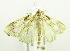  ( - USNM ENT 00676553)  @14 [ ] Unspecified (default): All Rights Reserved  Unspecified Unspecified