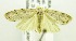  ( - USNM ENT 00676555)  @12 [ ] Unspecified (default): All Rights Reserved  Unspecified Unspecified