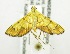  ( - USNM ENT 00676657)  @12 [ ] Unspecified (default): All Rights Reserved  Unspecified Unspecified