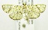  ( - USNM ENT 00676661)  @13 [ ] Unspecified (default): All Rights Reserved  Unspecified Unspecified