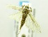  ( - USNM ENT 00676675)  @12 [ ] Unspecified (default): All Rights Reserved  Unspecified Unspecified