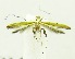  ( - USNM ENT 00682289)  @12 [ ] Unspecified (default): All Rights Reserved  Unspecified Unspecified