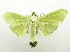  ( - USNM ENT 00682607)  @14 [ ] Unspecified (default): All Rights Reserved  Unspecified Unspecified