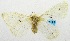  ( - USNM ENT 00718777)  @12 [ ] Unspecified (default): All Rights Reserved  Unspecified Unspecified