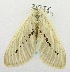  ( - USNM ENT 00718778)  @12 [ ] Unspecified (default): All Rights Reserved  Unspecified Unspecified