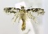  ( - USNM ENT 00718962)  @12 [ ] Unspecified (default): All Rights Reserved  Unspecified Unspecified