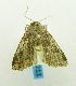  ( - USNM ENT 00719597)  @13 [ ] Unspecified (default): All Rights Reserved  Unspecified Unspecified