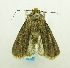  ( - USNM ENT 00719609)  @14 [ ] Unspecified (default): All Rights Reserved  Unspecified Unspecified