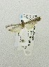  ( - USNM ENT 00719643)  @12 [ ] Unspecified (default): All Rights Reserved  Unspecified Unspecified