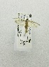  ( - USNM ENT 00719644)  @12 [ ] Unspecified (default): All Rights Reserved  Unspecified Unspecified