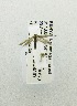  ( - USNM ENT 00719646)  @12 [ ] Unspecified (default): All Rights Reserved  Unspecified Unspecified