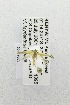  ( - USNM ENT 00719663)  @12 [ ] Unspecified (default): All Rights Reserved  Unspecified Unspecified
