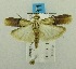  ( - USNM ENT 00719728)  @11 [ ] Unspecified (default): All Rights Reserved  Unspecified Unspecified