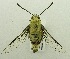  ( - USNM ENT 00719779)  @12 [ ] Unspecified (default): All Rights Reserved  Unspecified Unspecified