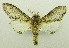  ( - USNM ENT 00719861)  @12 [ ] Unspecified (default): All Rights Reserved  Unspecified Unspecified