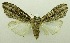  ( - USNM ENT 00719863)  @13 [ ] Unspecified (default): All Rights Reserved  Unspecified Unspecified