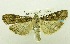  ( - USNM ENT 00719909)  @13 [ ] Unspecified (default): All Rights Reserved  Unspecified Unspecified