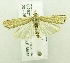  ( - USNM ENT 00719944)  @14 [ ] Unspecified (default): All Rights Reserved  Unspecified Unspecified