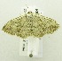  ( - USNM ENT 00719953)  @13 [ ] Unspecified (default): All Rights Reserved  Unspecified Unspecified