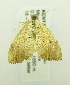  ( - USNM ENT 00719985)  @13 [ ] Unspecified (default): All Rights Reserved  Unspecified Unspecified