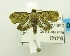  ( - USNM ENT 00724648)  @13 [ ] Unspecified (default): All Rights Reserved  Unspecified Unspecified