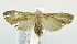  ( - USNM ENT 00725412)  @13 [ ] Unspecified (default): All Rights Reserved  Unspecified Unspecified