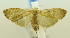  ( - USNM ENT 00725438)  @13 [ ] Unspecified (default): All Rights Reserved  Unspecified Unspecified