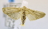  ( - USNM ENT 00725646)  @13 [ ] Unspecified (default): All Rights Reserved  Unspecified Unspecified