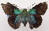  ( - USNM ENT 00726353)  @13 [ ] Unspecified (default): All Rights Reserved  Unspecified Unspecified