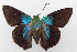  ( - USNM ENT 00726391)  @11 [ ] Unspecified (default): All Rights Reserved  Unspecified Unspecified