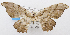  ( - USNM ENT 00729103)  @12 [ ] Unspecified (default): All Rights Reserved  Unspecified Unspecified