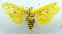  ( - USNM ENT 00733743a)  @14 [ ] Unspecified (default): All Rights Reserved  Unspecified Unspecified
