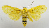  ( - USNM ENT 00733744a)  @14 [ ] Unspecified (default): All Rights Reserved  Unspecified Unspecified